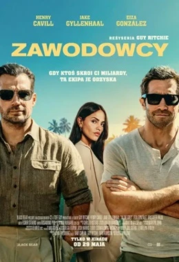Zawodowcy (napisy)